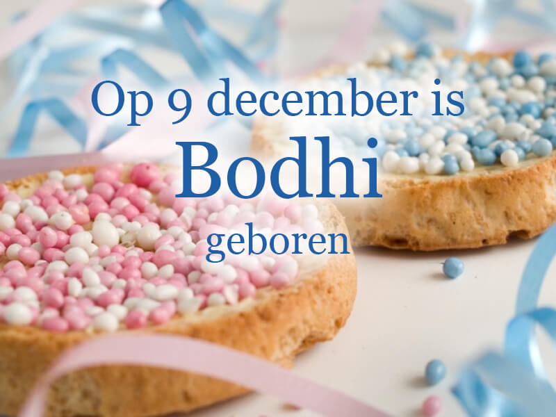 Op 9 december is Bodhi geboren!